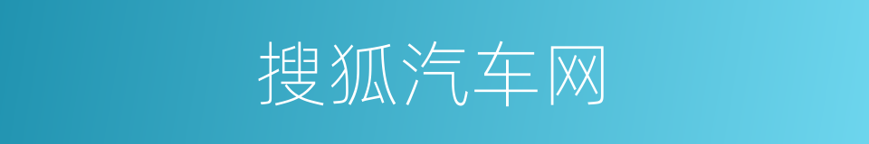 搜狐汽车网的同义词