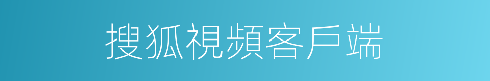 搜狐視頻客戶端的同義詞