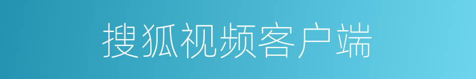 搜狐视频客户端的同义词