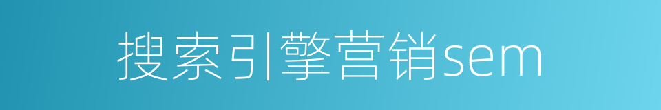 搜索引擎营销sem的同义词