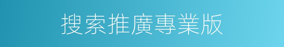 搜索推廣專業版的同義詞