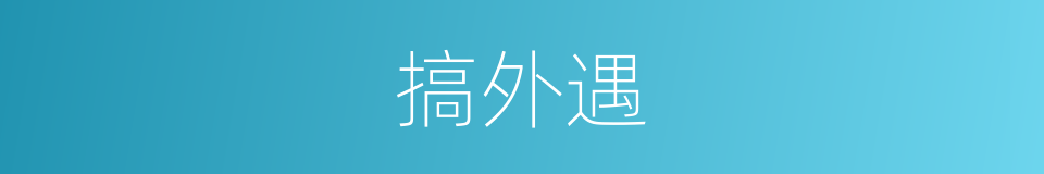 搞外遇的同义词