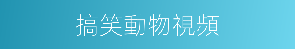 搞笑動物視頻的同義詞