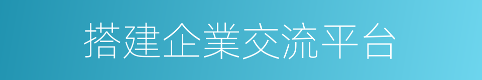 搭建企業交流平台的同義詞