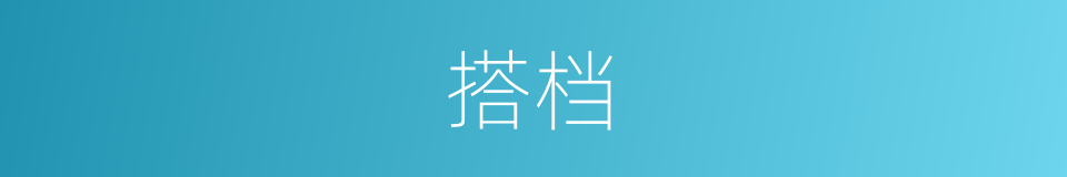 搭档的意思