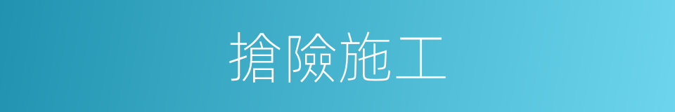 搶險施工的同義詞