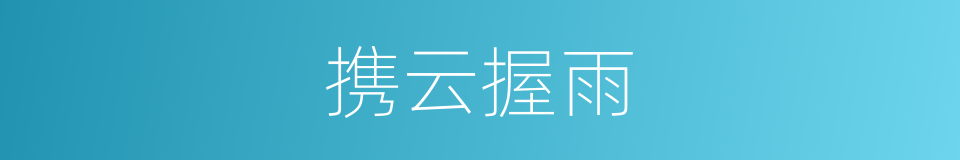 携云握雨的同义词