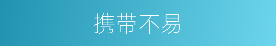 携带不易的同义词