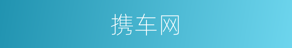 携车网的同义词