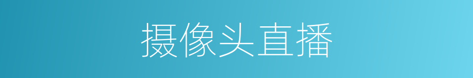 摄像头直播的同义词