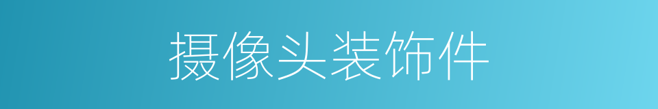 摄像头装饰件的同义词