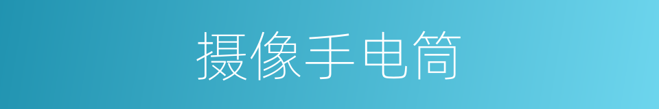 摄像手电筒的同义词