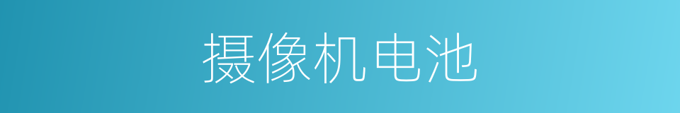 摄像机电池的同义词