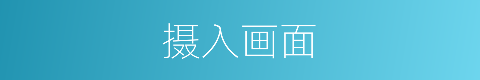 摄入画面的同义词
