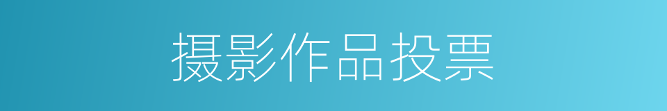 摄影作品投票的同义词