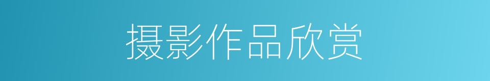 摄影作品欣赏的同义词