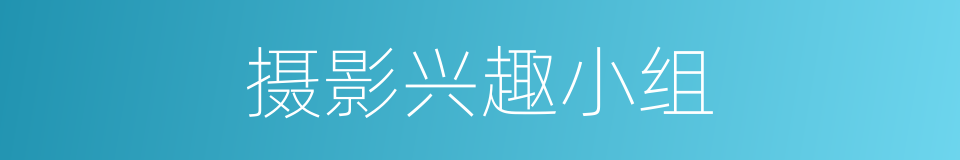 摄影兴趣小组的同义词