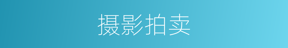 摄影拍卖的同义词