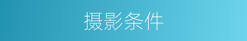 摄影条件的同义词