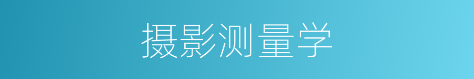 摄影测量学的同义词