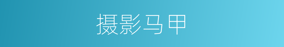 摄影马甲的同义词