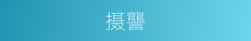 摄讋的意思
