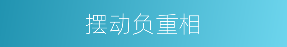 摆动负重相的同义词