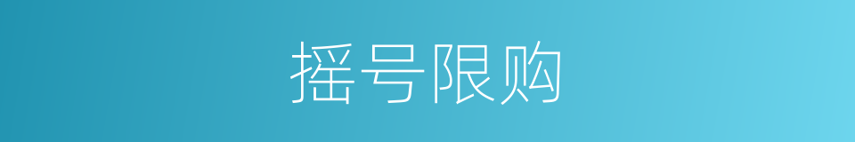 摇号限购的同义词