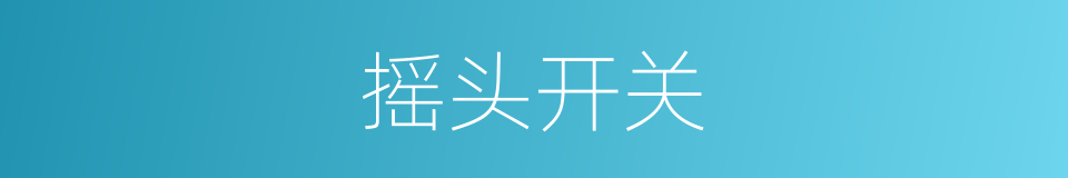 摇头开关的同义词