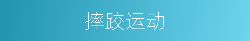 摔跤运动的意思