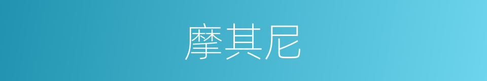 摩其尼的同义词