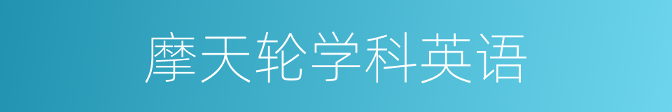 摩天轮学科英语的同义词