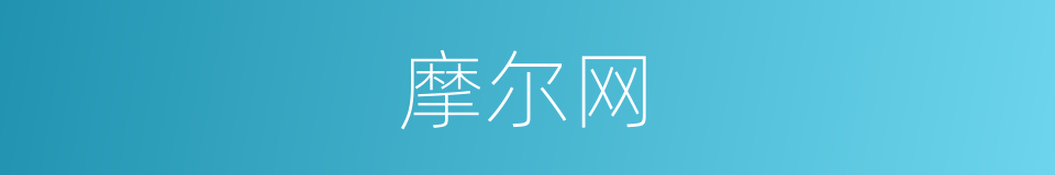 摩尔网的同义词