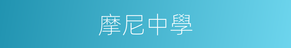 摩尼中學的同義詞