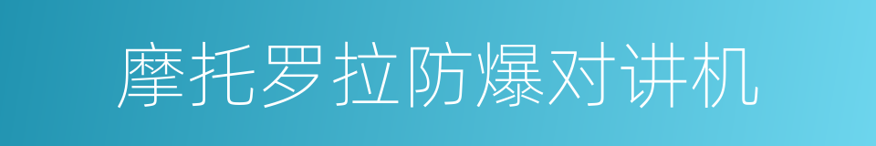 摩托罗拉防爆对讲机的同义词