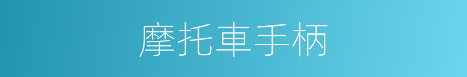 摩托車手柄的同義詞