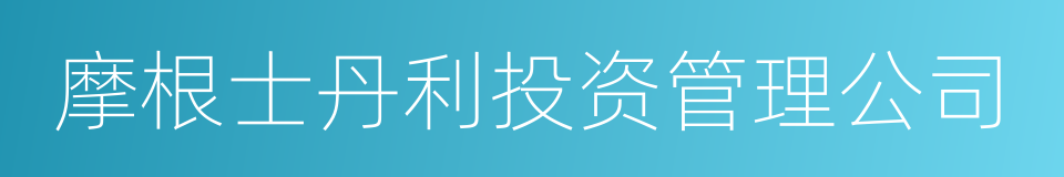 摩根士丹利投资管理公司的同义词