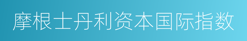 摩根士丹利资本国际指数的同义词