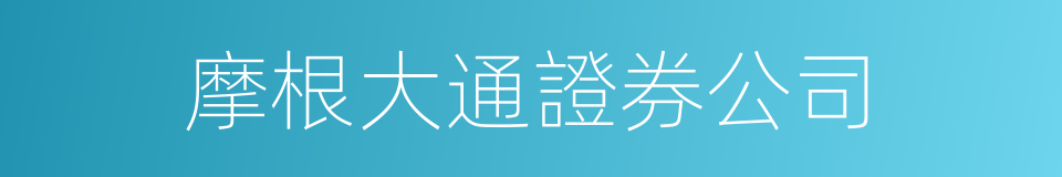 摩根大通證券公司的同義詞