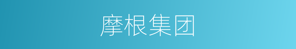 摩根集团的同义词