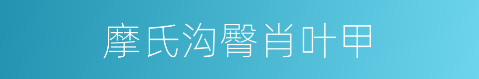 摩氏沟臀肖叶甲的同义词
