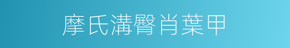 摩氏溝臀肖葉甲的同義詞