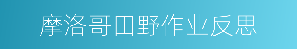 摩洛哥田野作业反思的同义词