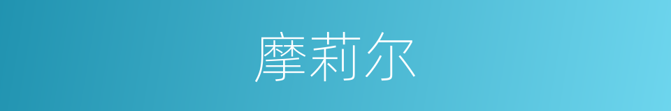 摩莉尔的同义词