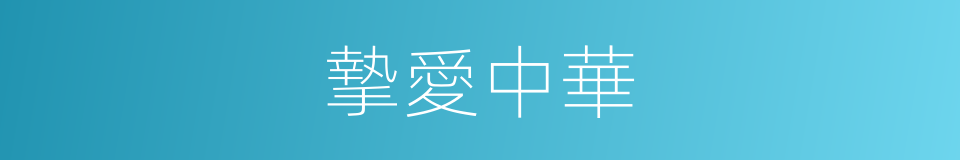 摯愛中華的意思