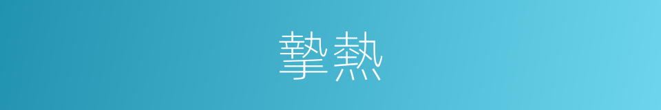 摯熱的意思