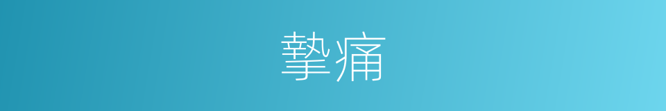 摯痛的意思
