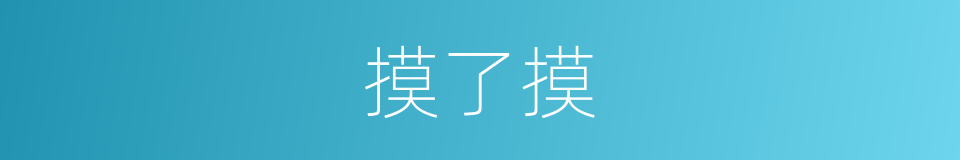 摸了摸的同义词