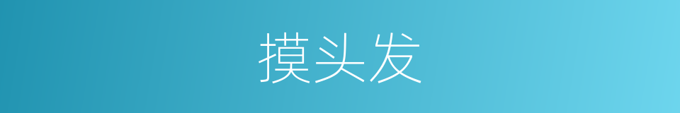 摸头发的同义词