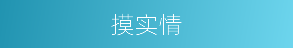 摸实情的同义词